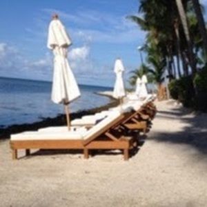 Meet your Posher, Barrett